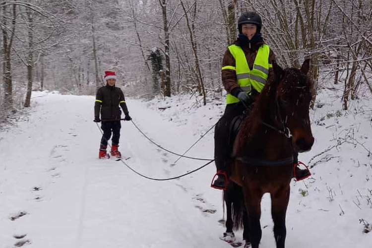 Skijöring mit Pferd